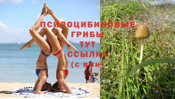 сатива Киренск