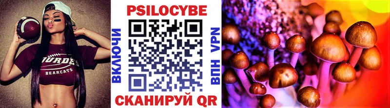 даркнет сайт  Серафимович  Галлюциногенные грибы Psilocybine cubensis 